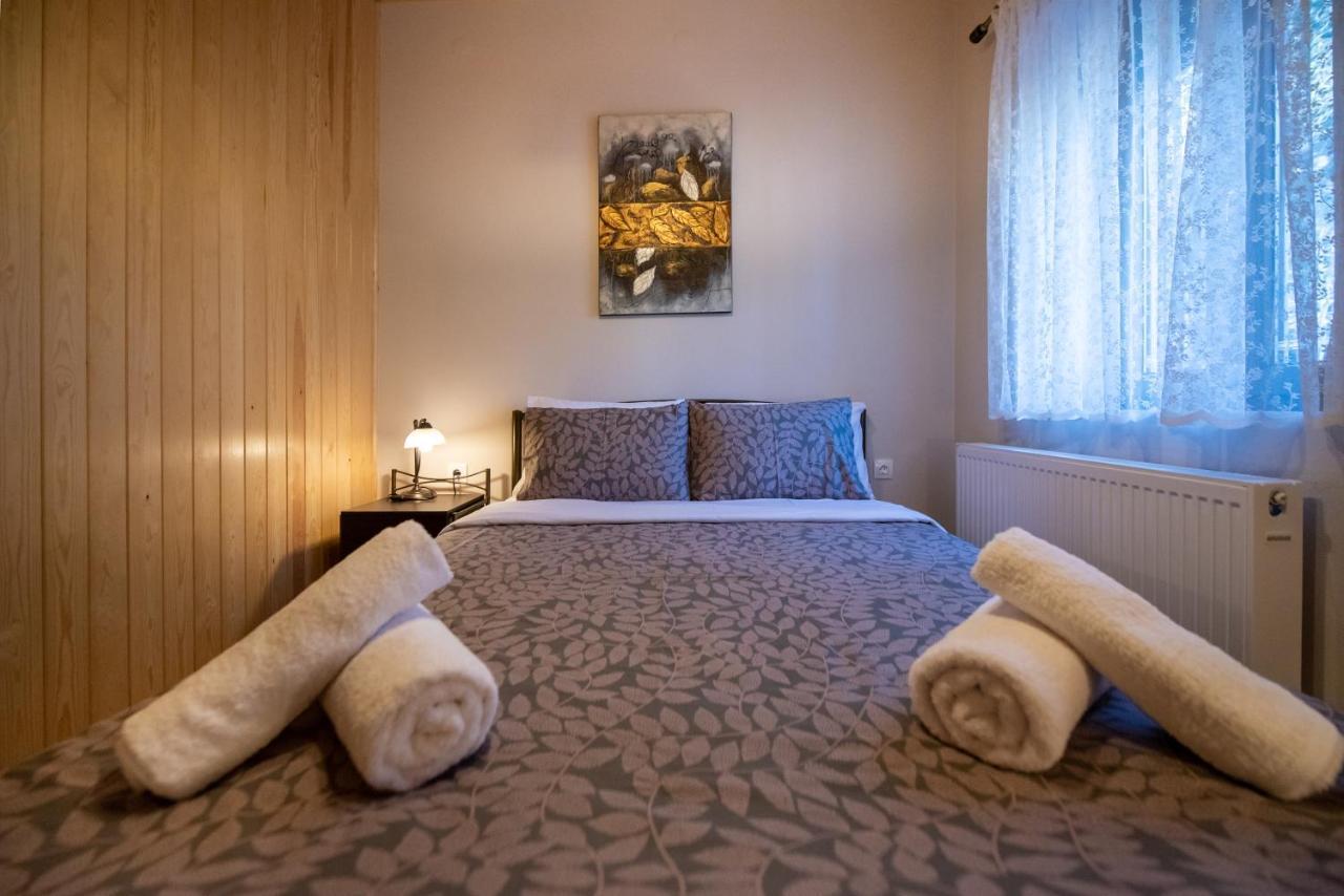 Pefkos House Holiday home Anthochori (Ioannina)